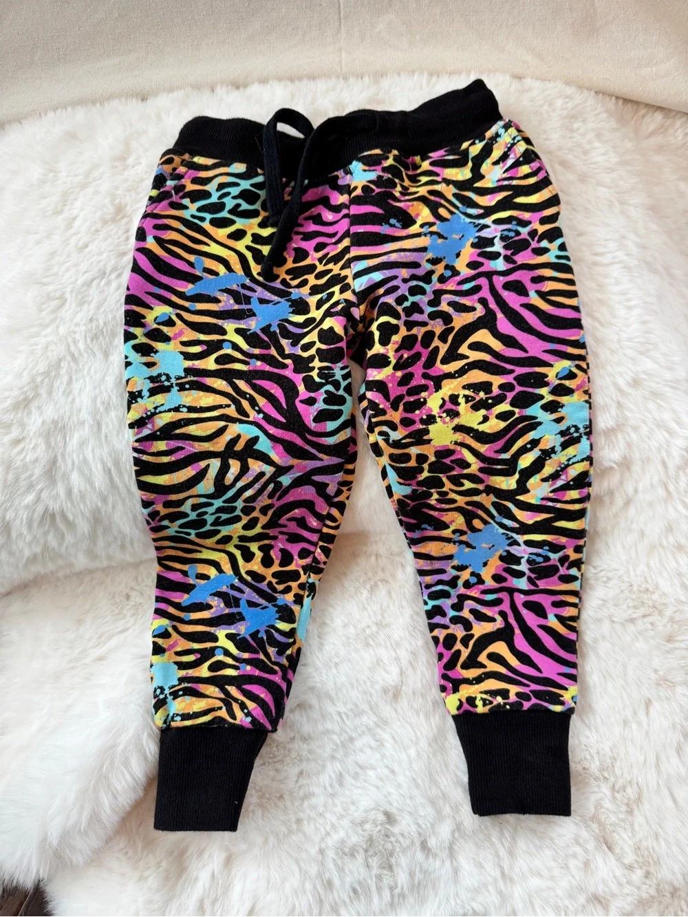 Bums & Roses Multicolor Animal Print Two Piece Jogger Set, Vibrant Rainbow, 2T